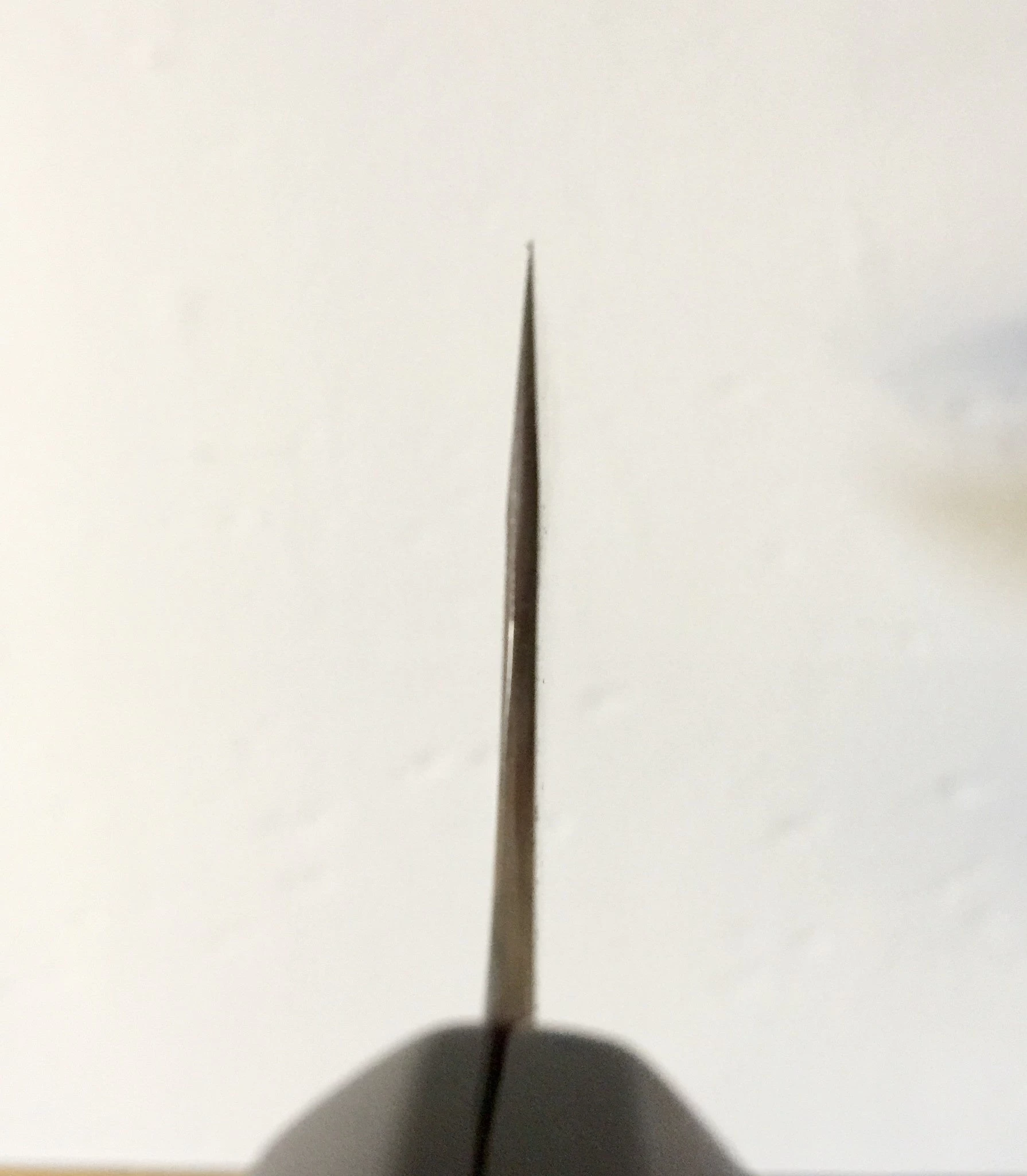 Gihei 210mm Gyuto ZDP189 Keyaki Handle 9 Gihei 210mm Gyuto ZDP189 Keyaki Handle - Image 7