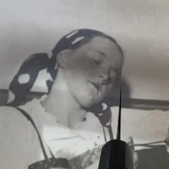 Sakai Kikumori 165mm Santoku Aogami 2 Nashiji -Knife shop 8cc07ed4 d5cf 489c 9657 28e8e6548e26