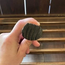 Kaji-bei 165mm Nakiri Iron Clad Aogami 2 Suminagashi Kurouchi Buffalo Horn Ring -Knife shop image 329f18ee f65b 4a68 a9f8 4cfecdf43077