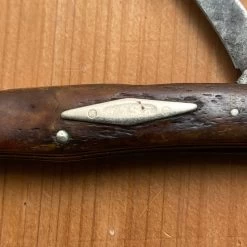 Vintage W R Case & Sons Bradford Pa 3 1/8” Congress Greenbone 6470 1905-14 -Knife shop image 8152b05b b573 4a91 90a1 1f99fa0b7ffd