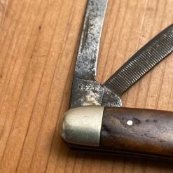 Vintage W R Case & Sons Bradford Pa 3 1/8” Congress Greenbone 6470 1905-14 -Knife shop image b367abc0 bd9e 42cf b90a f1d2ade7b61b