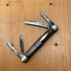 Vintage W R Case & Sons Bradford Pa 3 1/8” Congress Greenbone 6470 1905-14