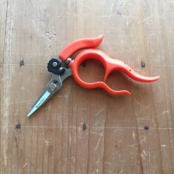 Saboten Harvest Shear Stainless